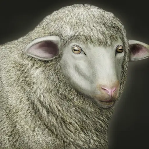 Lamb of the Creator: Heroic sheep scout that cannot attack | Units ...